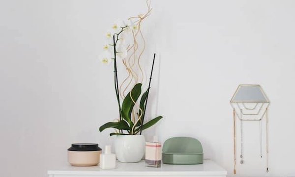 Qu'est-ce que le Feng Shui et comment l'appliquer chez soi ?