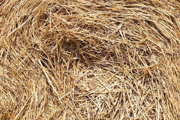 Tout ce que vous devez savoir sur les différents types d'isolation thermique pour votre maison