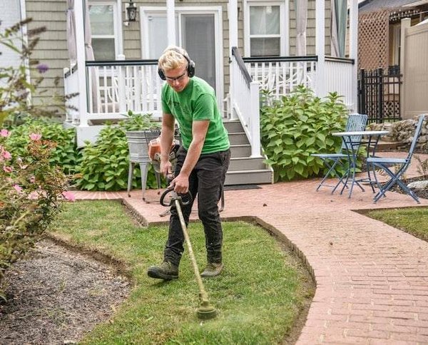 Astuces pour l'entretien de votre pelouse tout au long des saisons